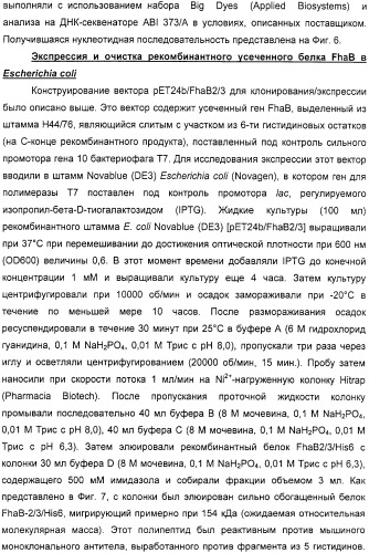 Нейссериальные вакцинные композиции, содержащие комбинацию антигенов (патент 2317106)