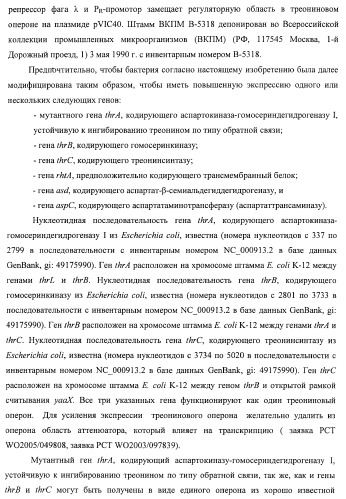 Способ получения l-треонина с использованием бактерии, принадлежащей к роду escherichia, в которой инактивирован ген ygid (патент 2396349)