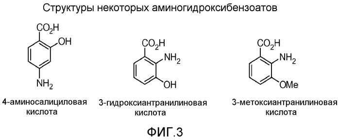 Бензойная кислота, производные бензойной кислоты и конъюгаты гетероарилкарбоновой кислоты с гидроморфоном, пролекарства, способы получения и их применение (патент 2573388)