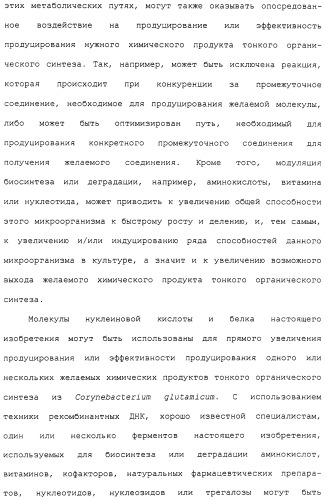 Гены corynebacterium glutamicum, кодирующие белки метаболических путей (патент 2306339)