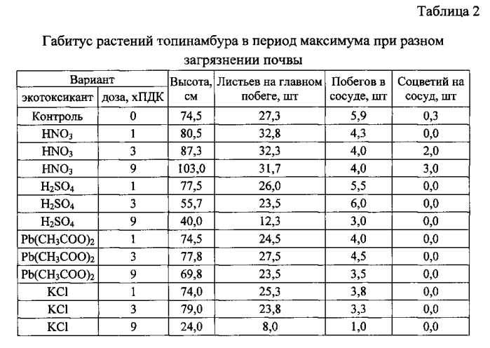 Способ получения продукции топинамбура на определенные цели (патент 2590805)