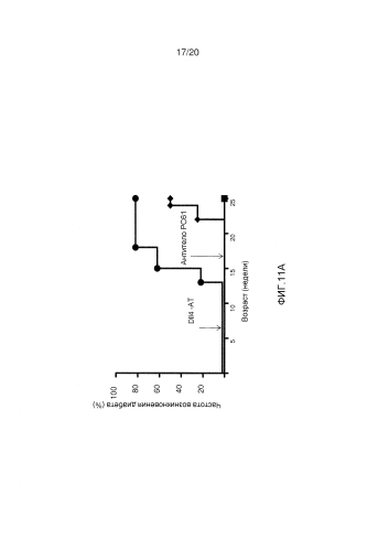 Способы лечения диабета антагонистами dll4 (патент 2587624)