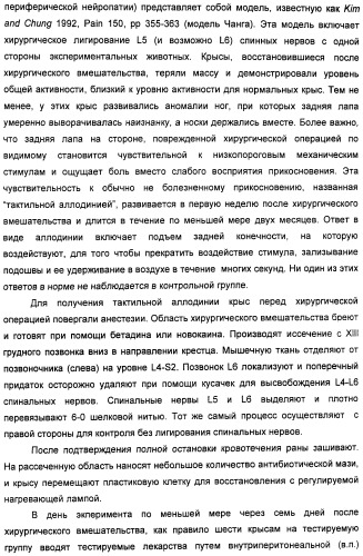 Амиды 3-арил-3-гидрокси-2-аминопропионовой кислоты, амиды 3-гетероарил-3-гидрокси-2-аминопропионовой кислоты и родственные соединения, обладающие обезболивающим и/или иммуностимулирующим действием (патент 2433999)