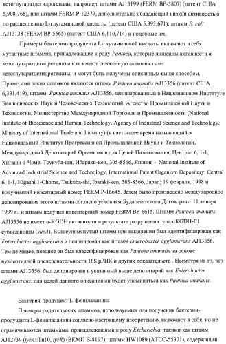 Способ получения l-аминокислот с использованием бактерии, принадлежащей к роду escherichia, в которой инактивирован один или несколько генов, кодирующих малые рнк (патент 2395567)