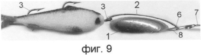 Спиннинговая снасть &quot;ахметова&quot; (патент 2352112)