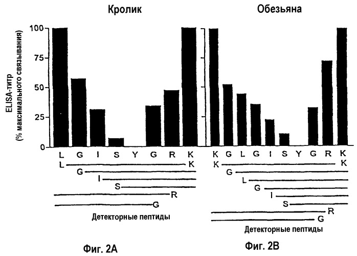 Способы и композиции для ингибирования размножения вич-1 (патент 2275379)