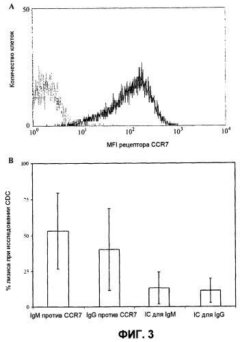Антитела против рецептора ccr7 для лечения рака (патент 2404808)