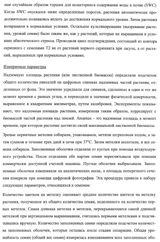 Растения, имеющие улучшенные характеристики роста, и способы их получения (патент 2463352)