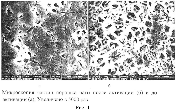Способ получения активированного порошка чаги (патент 2569751)