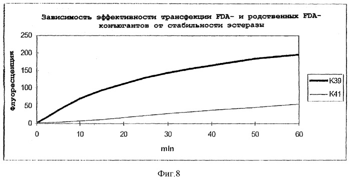 Конъюгаты и способ их получения, а также их применение для транспорта молекул через биологические мембраны (патент 2275936)