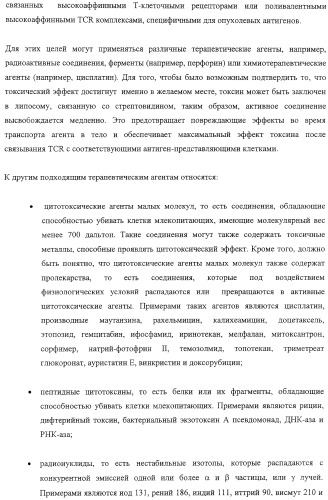 Экспонирование т-клеточных рецепторов (патент 2346004)