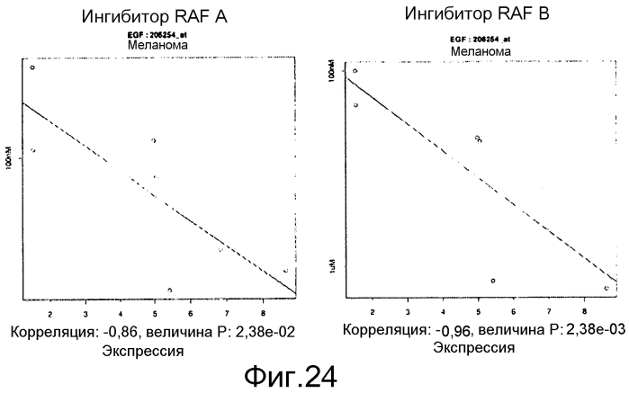 Определение чувствительности клеток к обработке ингибитором b-raf путем детекции мутации k-ras и уровней экспрессии rtk (патент 2553379)