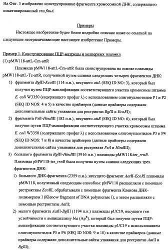 Способ получения l-треонина с использованием бактерии, принадлежащей к роду escherichia, в которой инактивирован ген fhua (патент 2333955)