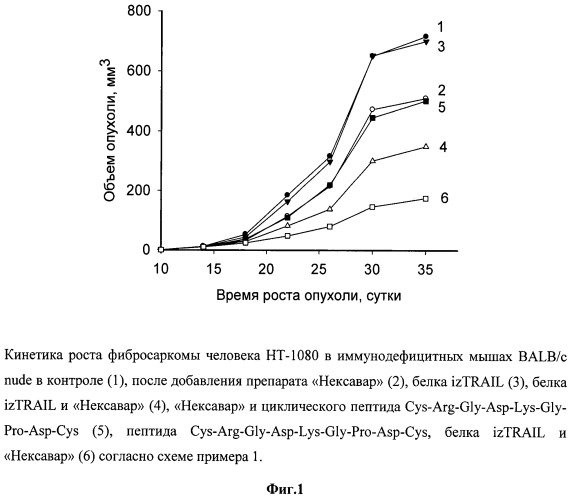 Способ подавления роста опухолей (патент 2530592)