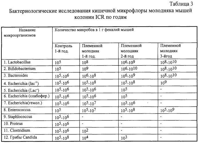 Консорциум штаммов бифидобактерий, используемый для получения жидкого концентрата бифидобактерий, кисломолочных, неферментированных лечебно-профилактических продуктов, биологически активных добавок и бактерийных препаратов (патент 2291194)