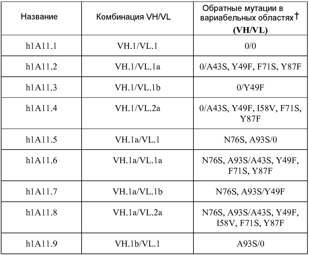 Терапевтические dll4-связывающие белки (патент 2605928)