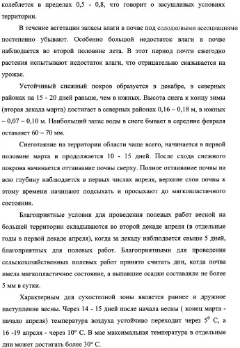 Способ прогнозирования семенной продуктивности солодки голой и солодки уральской сухостепного, лиманного и пойменного экотипов (патент 2360403)