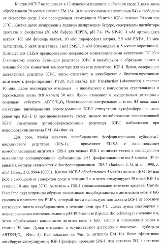 Антитела к рецептору igf-i (патент 2421465)