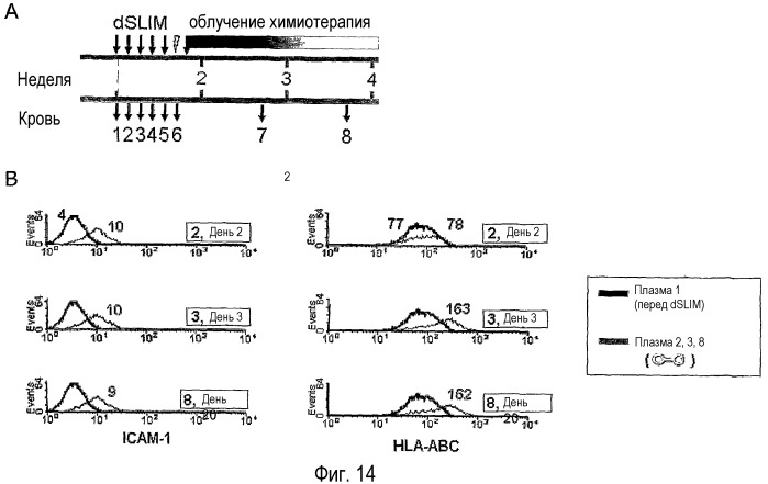 Функциональный иммуноанализ in vitro (патент 2416797)