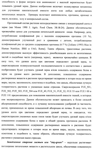 Изолированные полипептиды, кодирующие их полинуклеотиды, экспрессирующие их трансгенные растения и способы их использования (патент 2487166)