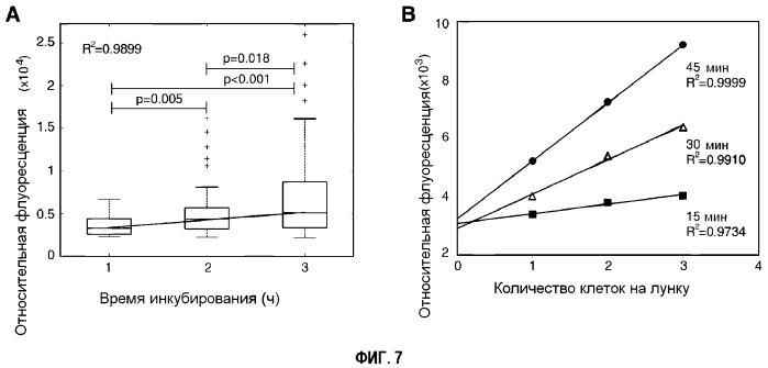 Способ диагностики аллергических реакций (патент 2536291)