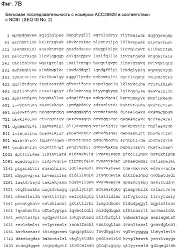 Применение s1p (патент 2362565)