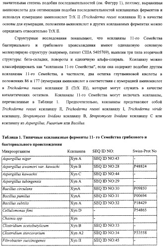 Модифицированная ксиланаза (патент 2394909)