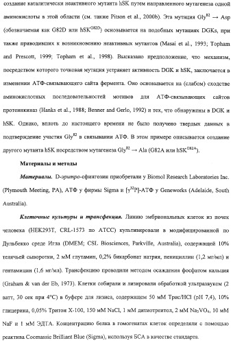Сфингозинкиназа (варианты), нуклеиновая кислота, ее кодирующая (варианты), и их применение (патент 2326945)