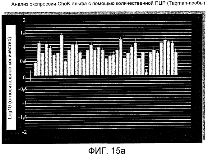 Способ in vitro определения прогноза развития заболевания у больного раком и способ in vitro мониторинга эффекта терапии, назначаемой больному раком (патент 2434946)