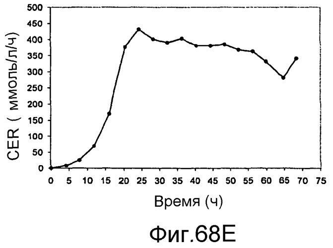 Полимеры изопрена из возобновляемых источников (патент 2505605)