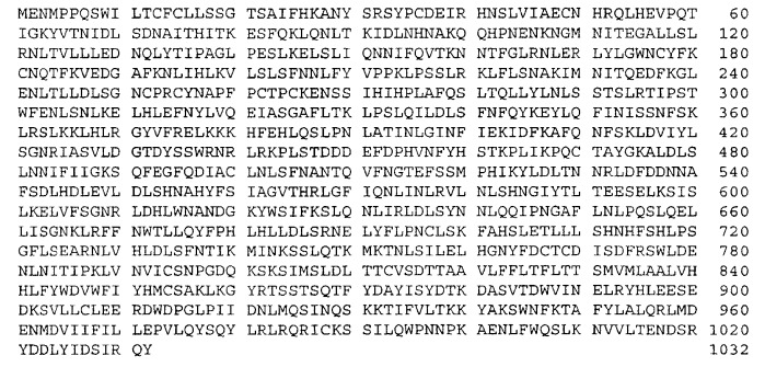 Иммуностимулирующие g, u-содержащие олигорибонуклеотиды (патент 2302865)