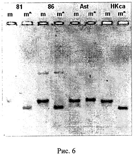 Штамм вируса гриппа а/гонконг/1/68/162/35 (h3n2)-универсальный донор внутренних генов для реассортантов и реассортантные штаммы а/спб/гк/09 (h1n1) и а/нк/astana/6:2/2010 (h5n1), полученные на его основе (патент 2511431)