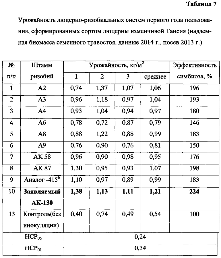 Штамм клубеньковых бактерий люцерны sinorhizobium meliloti - симбиотический азотофиксатор для нормальных и засолённых почв (патент 2593714)