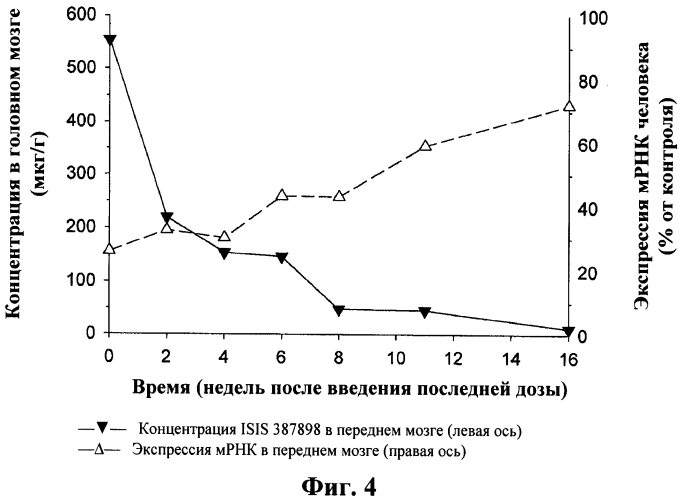 Модуляция экспрессии гентингтина (патент 2562861)