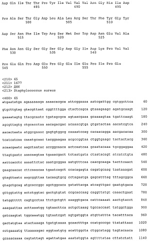 Иммуногенные композиции антигенов staphylococcus aureus (патент 2536981)