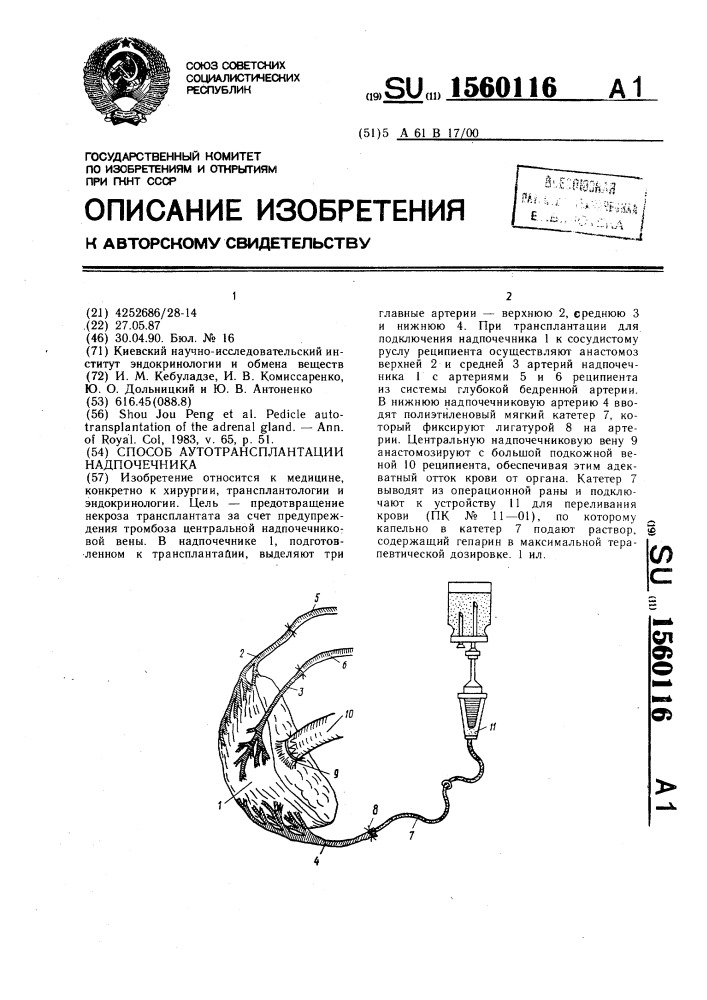 Способ аутотрансплантации надпочечника (патент 1560116)