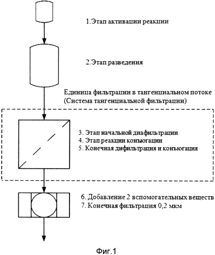 Композиции вакцин (патент 2581020)