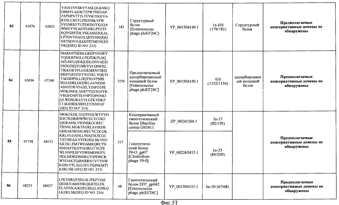 Бактериофаг, обладающий активностью против pseudomonas aeruginosa, белки бактериофага и способы их применения (патент 2580248)