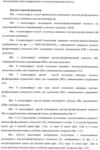 Конъюгаты фосфолипидов и направляющих векторных молекул (патент 2433137)