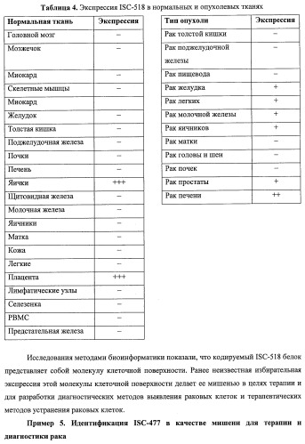 Идентификация опухолевых антигенов для диагностики и терапии (патент 2485974)