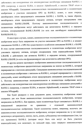 Аминокислотные последовательности, направленные на rank-l, и полипептиды, включающие их, для лечения заболеваний и нарушений костей (патент 2481355)