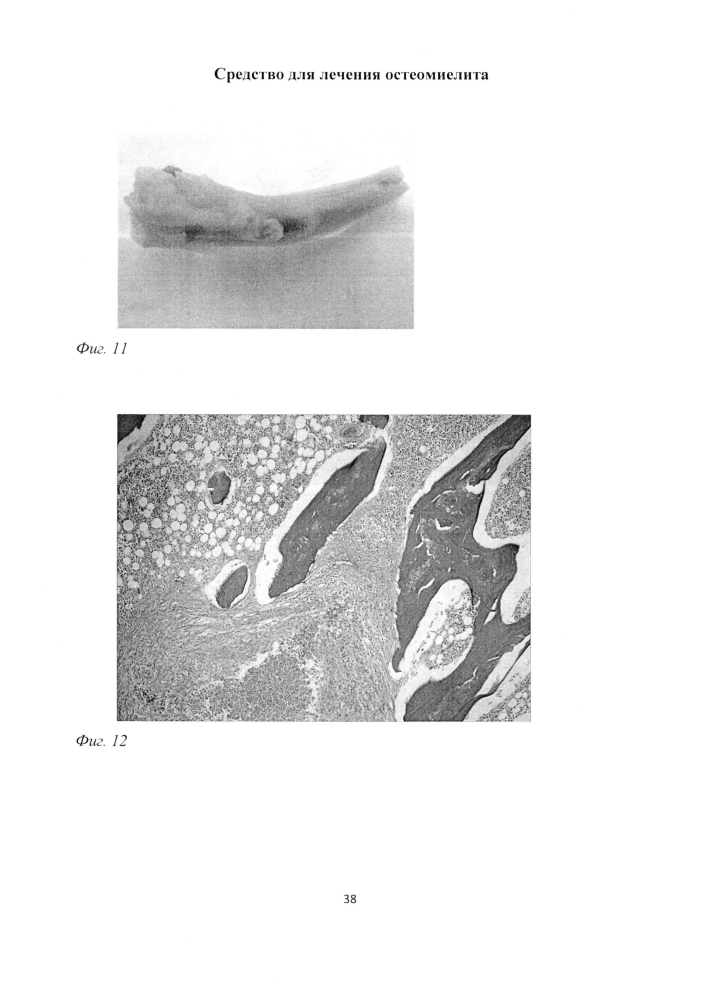 Средство для лечения остеомиелита (патент 2604124)