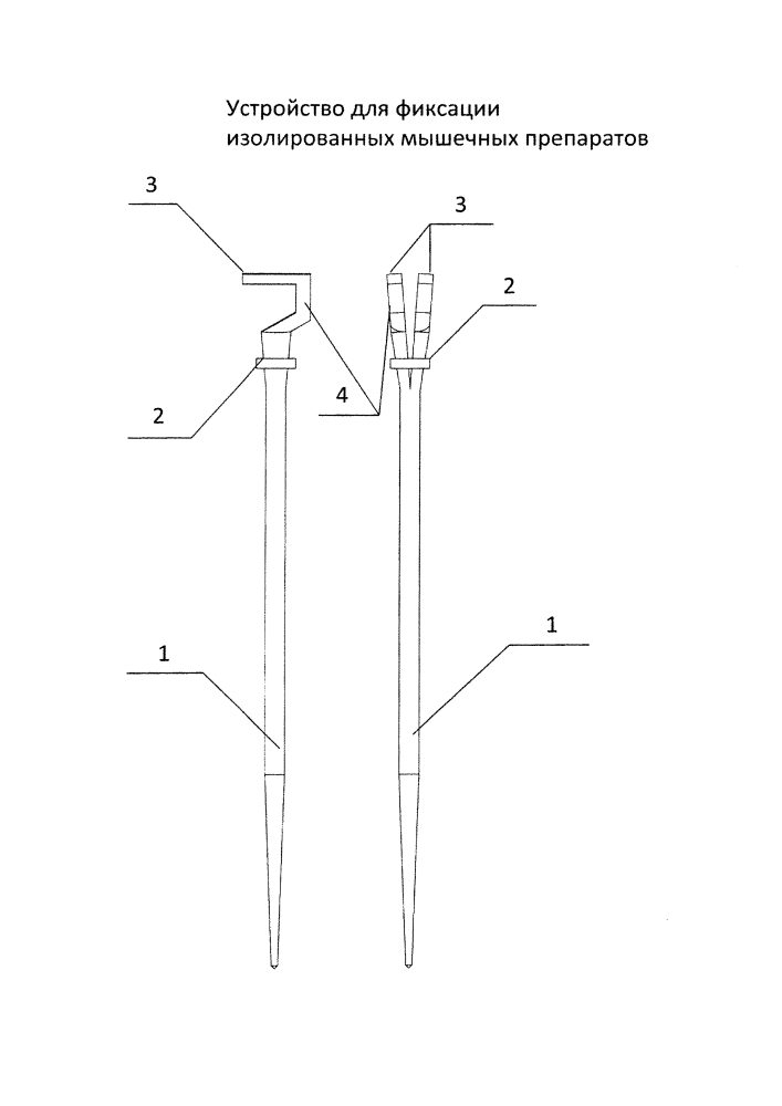 Устройство для фиксации изолированных мышечных препаратов (патент 2636768)