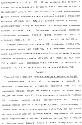 Композиции, содержащие cpg-олигонуклеотиды и вирусоподобные частицы, для применения в качестве адъювантов (патент 2322257)