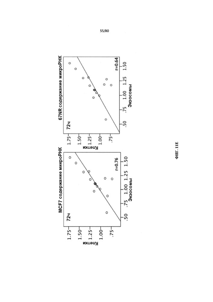 Использование биогенеза микрорнк в экзосомах для диагностики и лечения (патент 2644247)