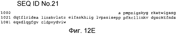 Применение рам (патент 2345785)