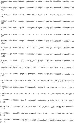 Иммортализованная клеточная линия птиц (патент 2475536)