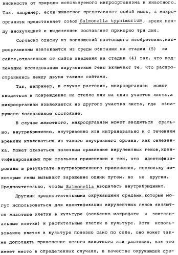 Vgc2 днк salmonella typhimurium, мутантная бактерия, обладающая пониженной способностью к адаптации к условиям окружающей среды, и способ ее получения (патент 2370541)