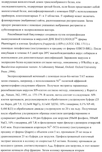 Композиции и способы диагностики и лечения опухоли (патент 2423382)