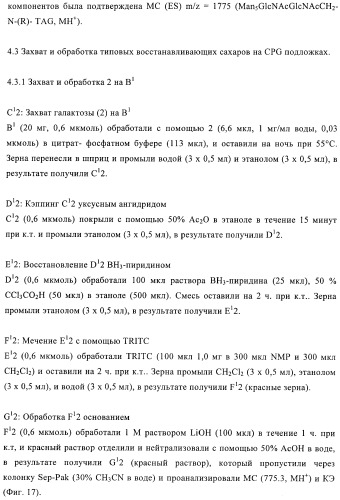 Твердофазное тегирование олигосахаридов: методика для манипуляции с иммобилизированными углеводами (патент 2398237)